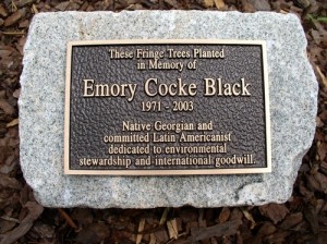 a plaque honoring Emory Cocke Black on a stone