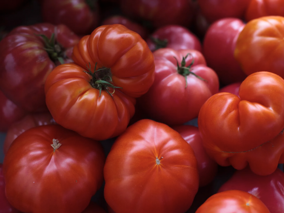 South American Tomatoes